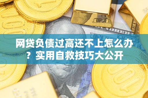武汉网贷负债过高还不上怎么办?实用自救技巧大公开 武汉网贷负债过高还不上怎么办?实用自救技巧大公开
